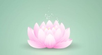 Alms Offering 2/2017